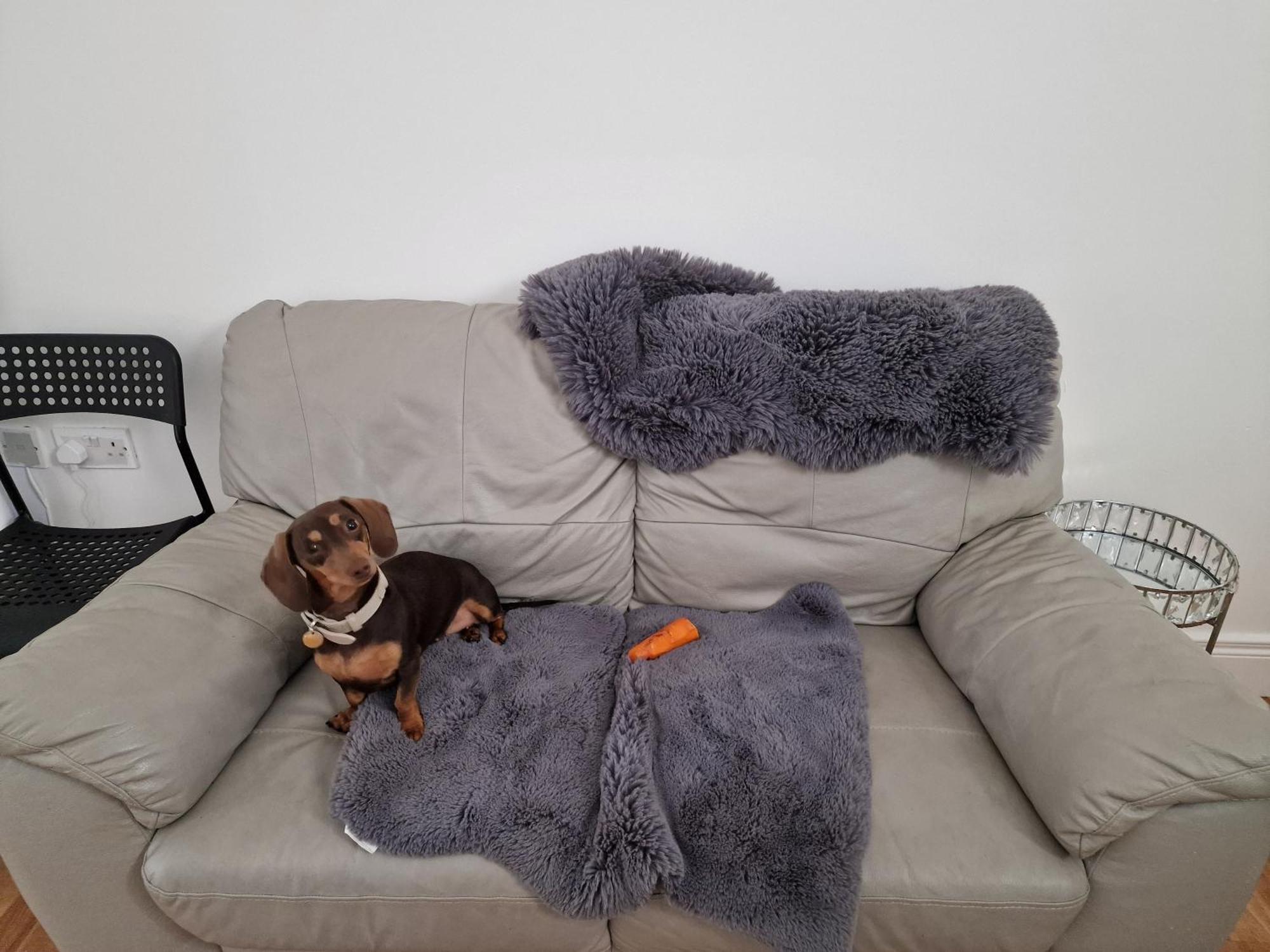 Hostel Aunty Katie'S House, Ni Tourist Board Certified & Located On The Main Oldpark Road To Belfast, With Free Continental Breakfast & Free Ultra Fast Sky Internet, Free Sky Sports & Free Sky Cinema, Self-Check In After 10Pm Gmt Zewnętrze zdjęcie