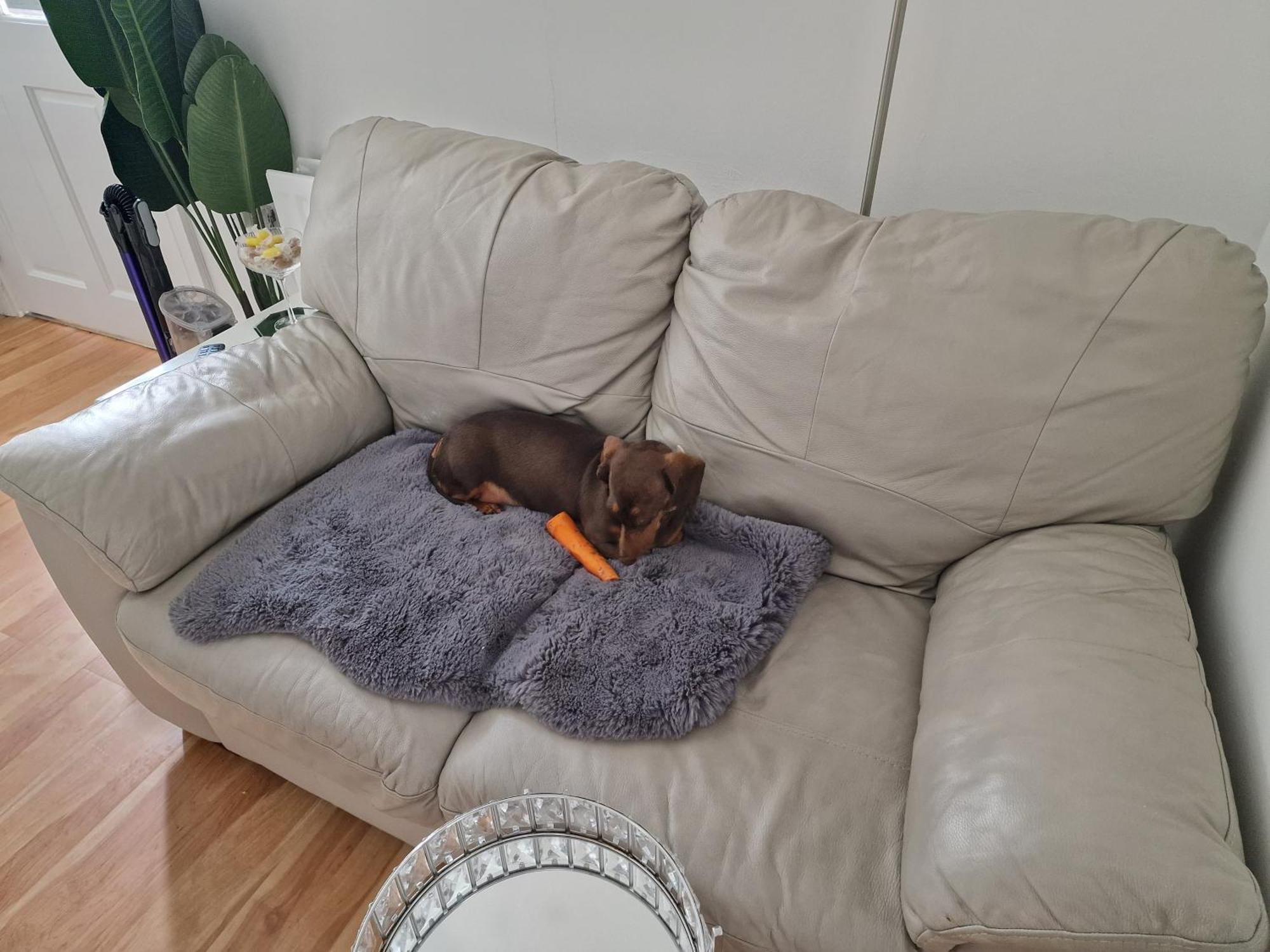 Hostel Aunty Katie'S House, Ni Tourist Board Certified & Located On The Main Oldpark Road To Belfast, With Free Continental Breakfast & Free Ultra Fast Sky Internet, Free Sky Sports & Free Sky Cinema, Self-Check In After 10Pm Gmt Zewnętrze zdjęcie